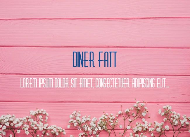 Diner Fatt example